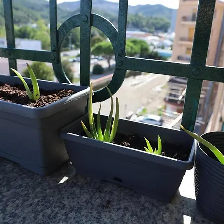 Casa Al Mare *