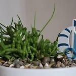 Casa Al Mare *